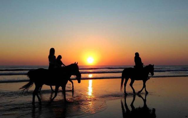 L'amour pour les chevaux